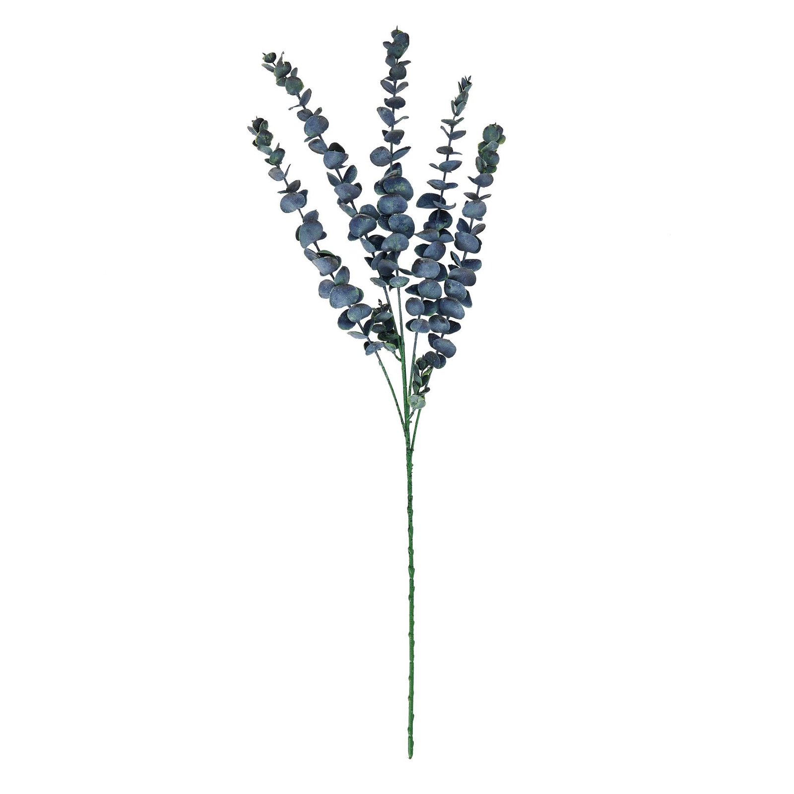 Large Blue Eucalyptus Stem - Image 3