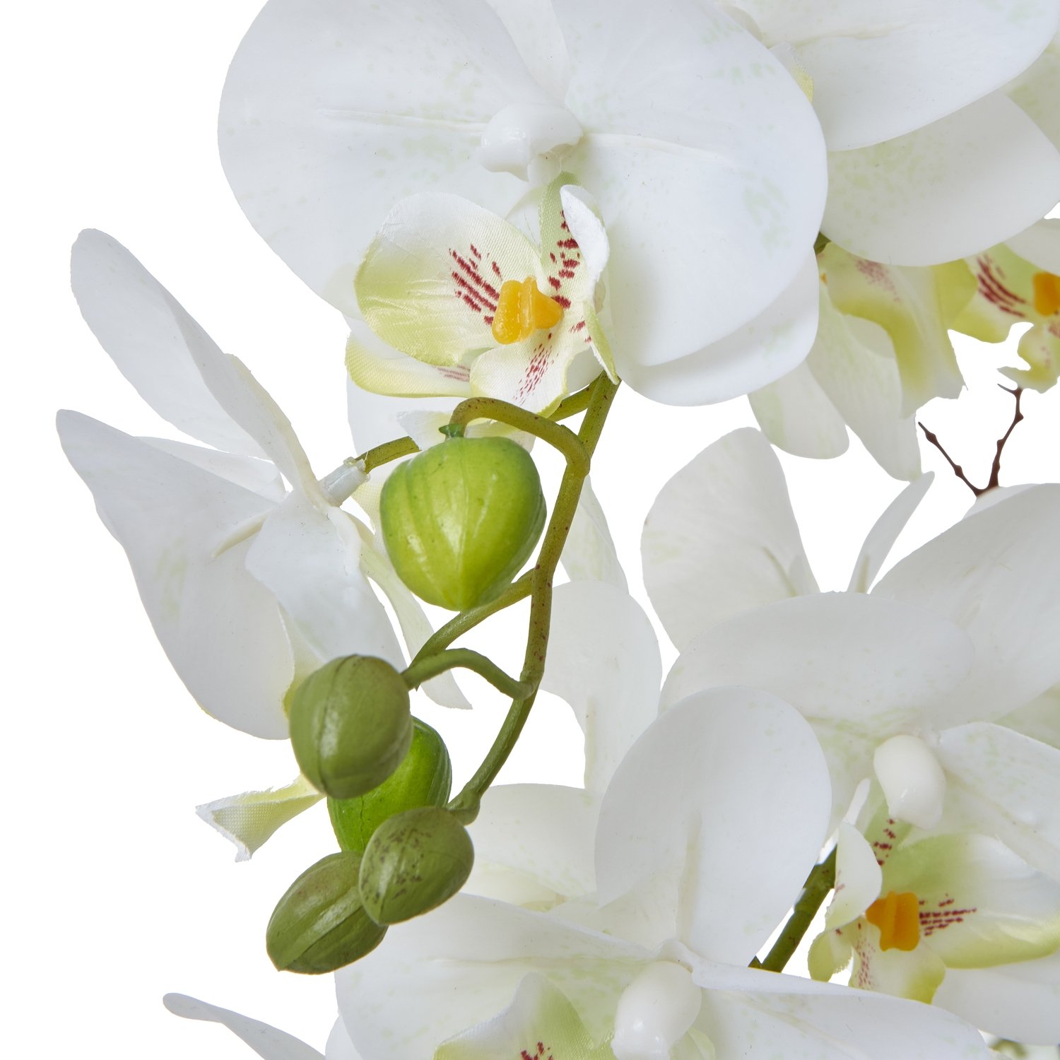 Large White Orchid In Ceramic Pot - Image 2