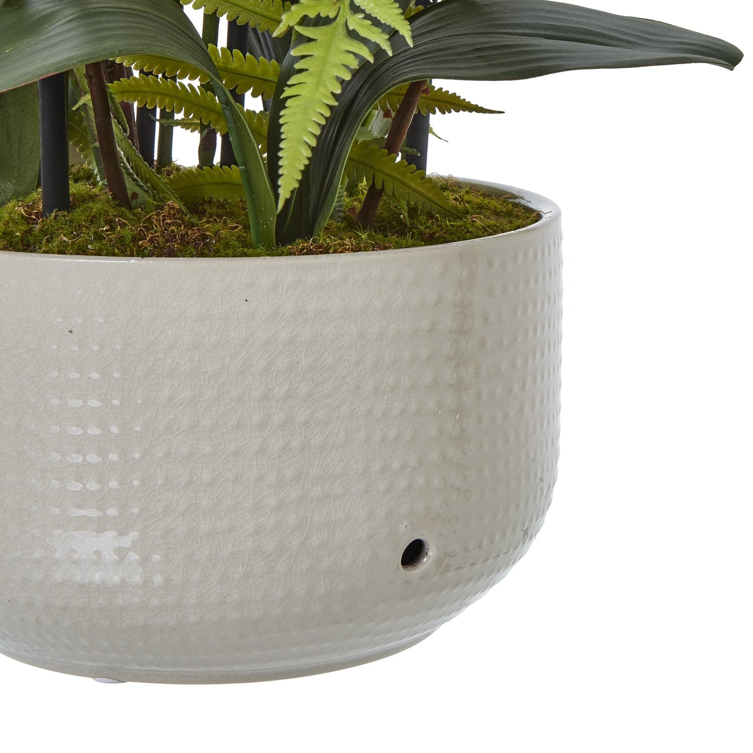 Large White Orchid In Ceramic Pot - Image 4