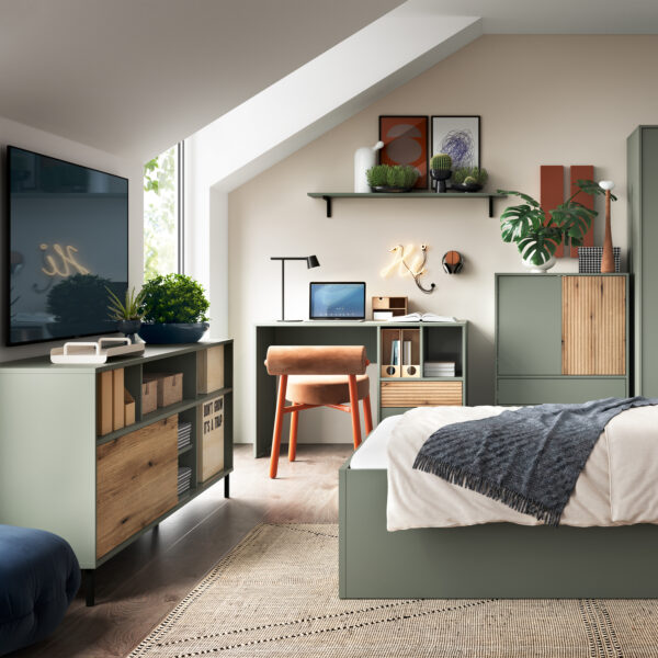 Darwin TV Cabinet 1 Door 73cm High in Green/Oak - Image 3