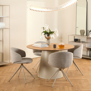Dining Chairs