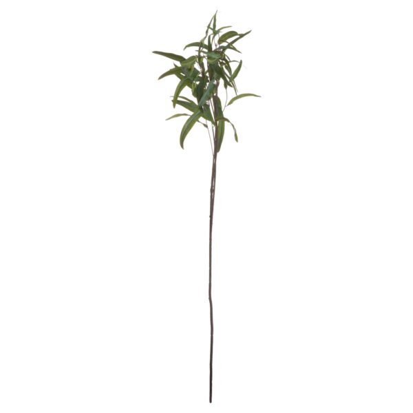 Eucalyptus Nicholii Spray - Image 5