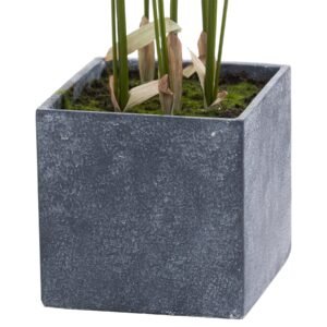 Vases