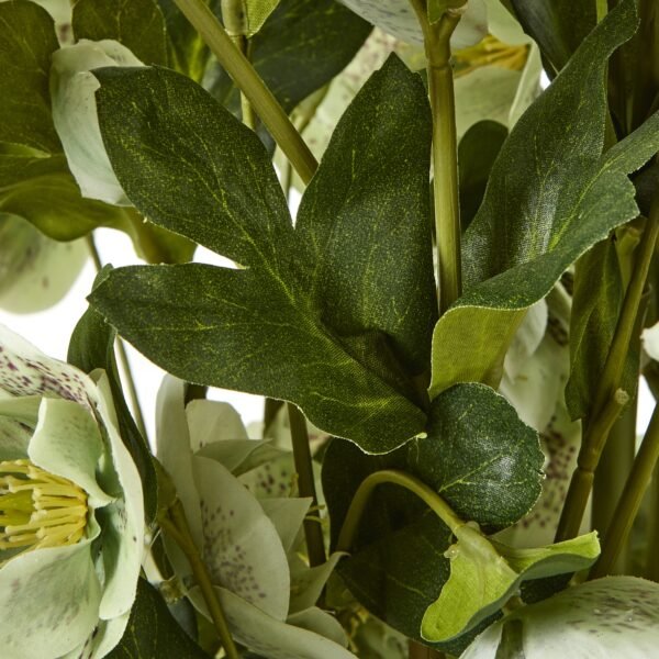 Large Green Hellebore in Taupe Pot - Image 3