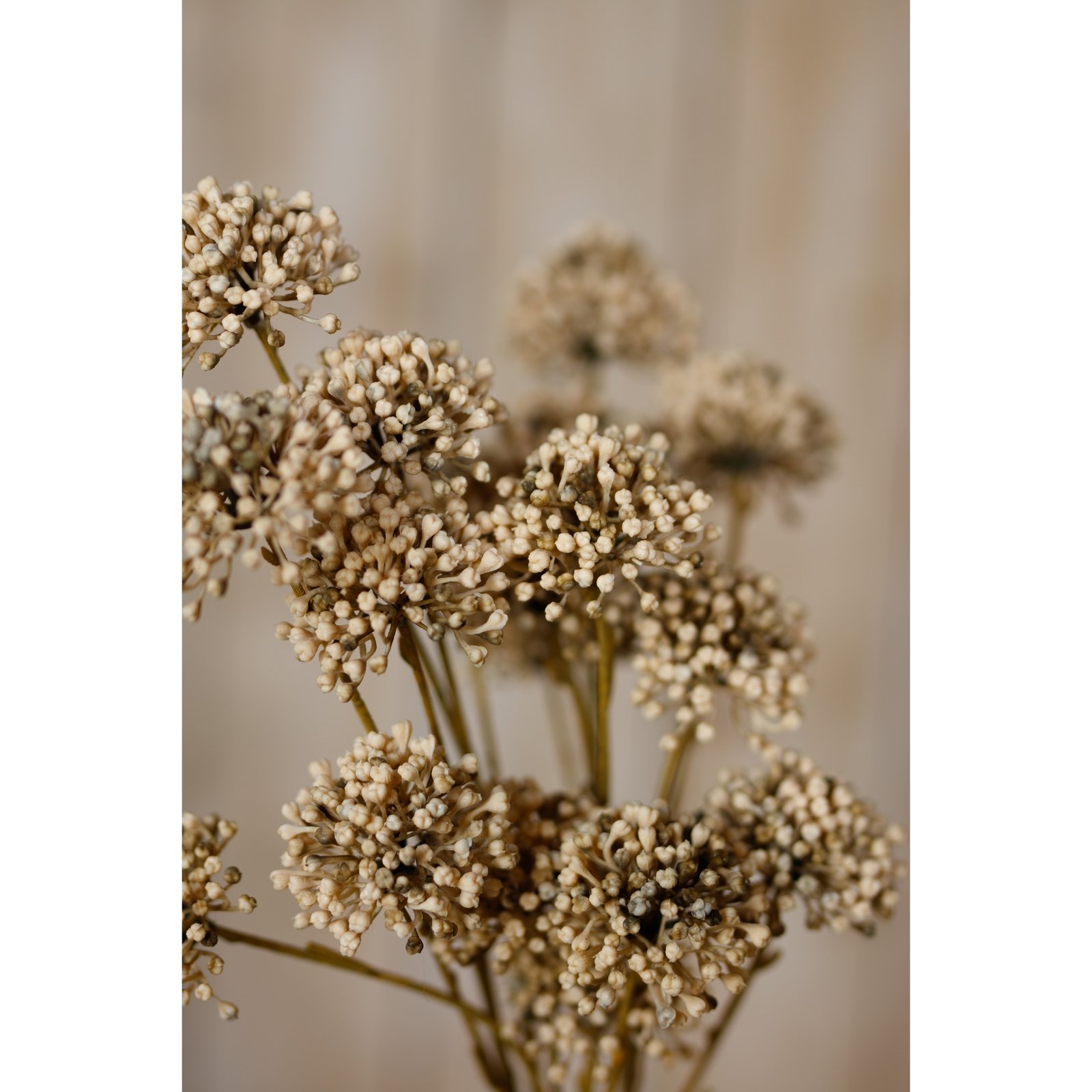 Brown Allium Spray - Image 5