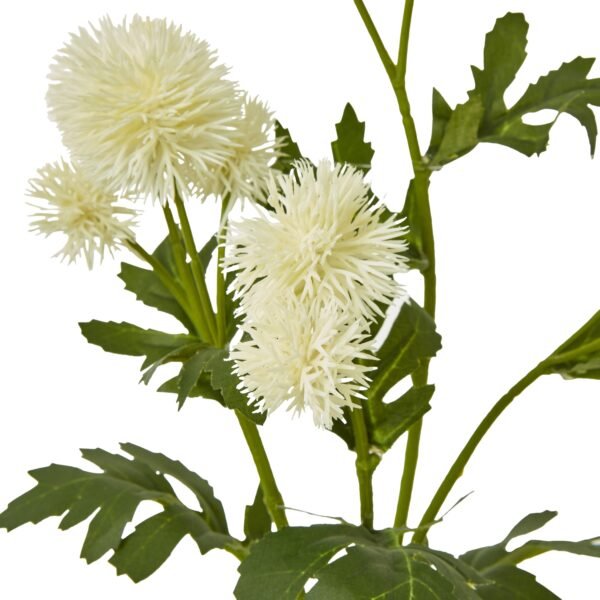 Cream Globe Thistle Spray - Image 2