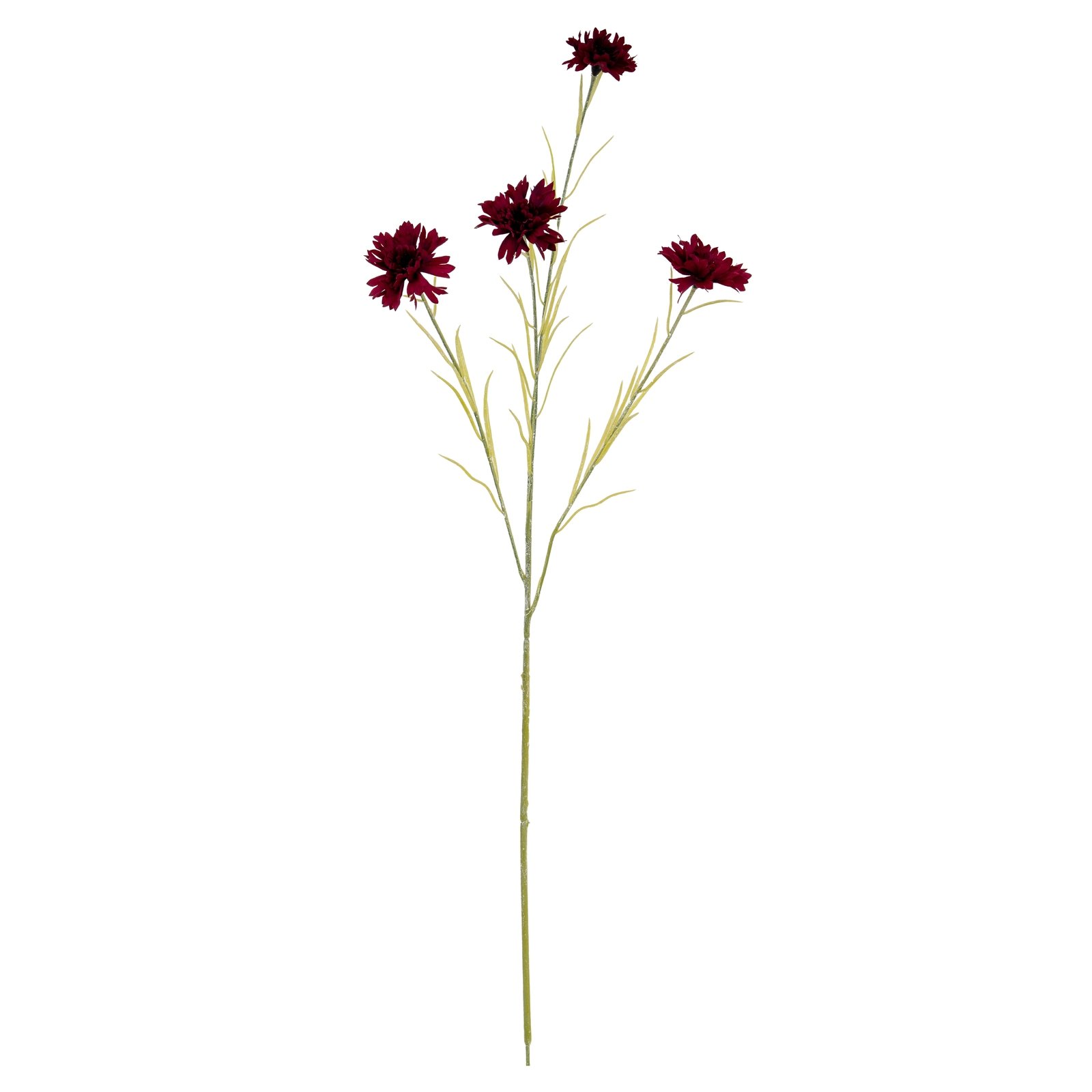 Burgundy Cornflower Stem - Image 2