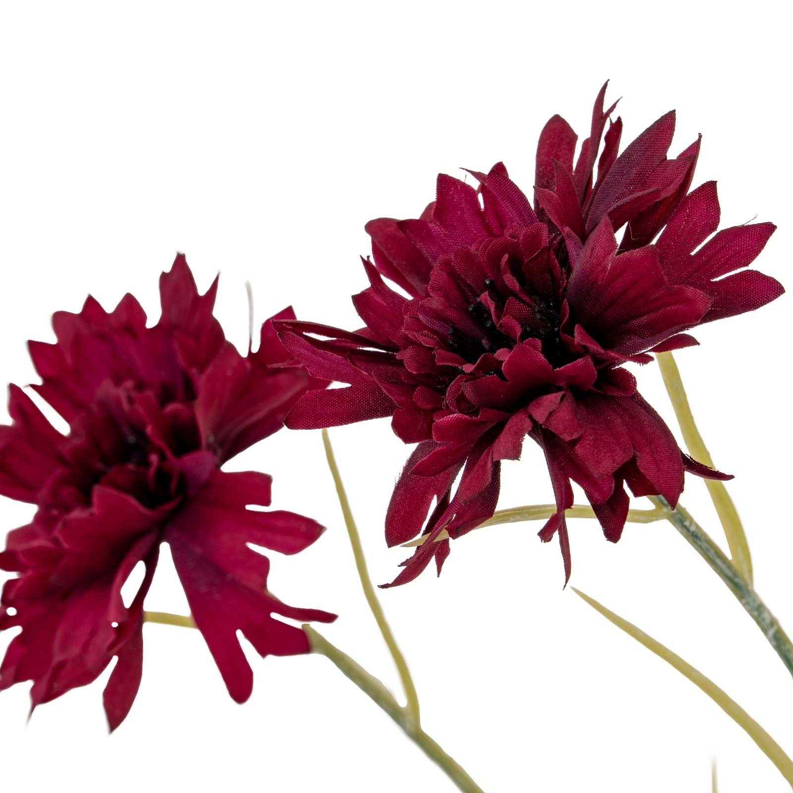 Burgundy Cornflower Stem - Image 3